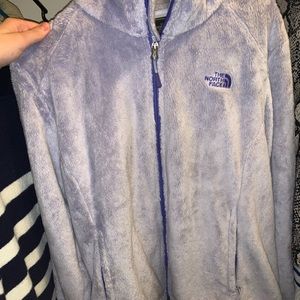 Purple north face